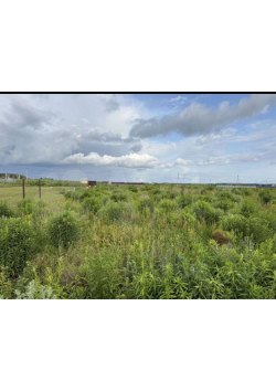 Земельный участок, площадь: 1 200м?, адрес (местонахождение): 140207, Россия, Московская обл…