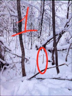 Торги по продаже имущества Филюшина М.В. - Земельный участок, кадастровый номер: 47:10:1358006:271…