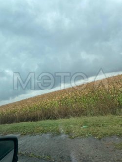 6/571 доли земельного участка в Тамбовской обл. 