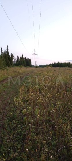 4/5 доли земельного участка в Удмуртии 