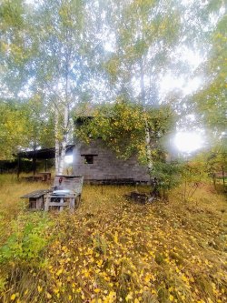 Земельный участок с домом