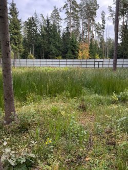 Земельный участок с к/н 50:11:0040110:525, площадью 2618 +/- 36 кв.м., категория земель: земли…