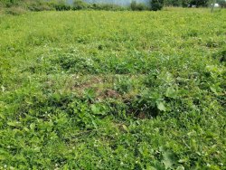 Земельный участок в Вологодской обл., 600 кв.м. 