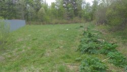 Земельный участок