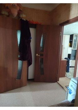 1/2 доля в праве на жилое помещение, площадь: 19,4кв.м., адрес (местонахождение): Челябинская…