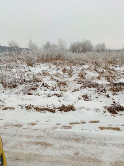 Земельный участок, площадь: 1 500кв.м.,
кадастровый номер: 76:11:060801:62,
Категория земель: Земли…