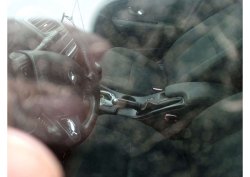 Автомобиль легковой, марка: Рено, модель: Флюенс, VIN: 77YE472450241120, гос. рег. номер: Н295СО57…