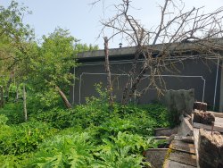 Земельный участок, Здание жилое (жилой дом), Земельный участок