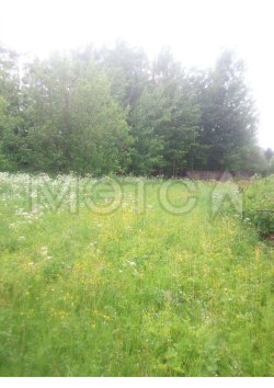 Земельный участок в Удмуртии, 1000 кв.м. 