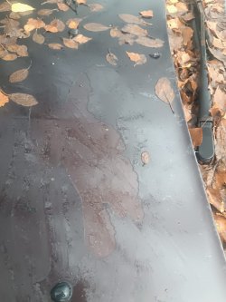 Lada Largus, 2018 г. в.