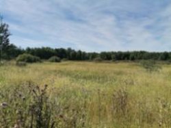 1/2 доля в праве общей долевой собственности на земельный участок, кадастровый номер…