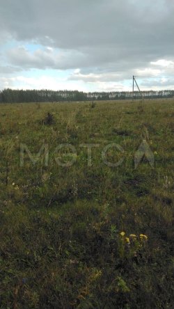 1/5 доля земельного участка в Тамбовской обл. 