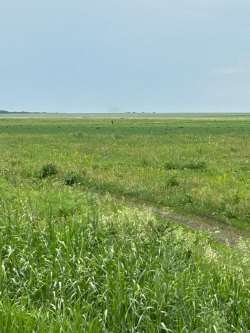 Земельные участки (136 шт.) общей площадью 361 187 кв. м в границах ЗАО «Каменское» Красноярского…