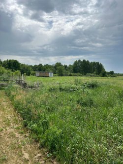 Земельные участки (35 шт.) общей площадью 394 712  кв. м в границах ЗАО «Каменское» Красноярского…