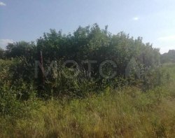 Земельный участок в Волгоградской обл., 600 кв.м. 