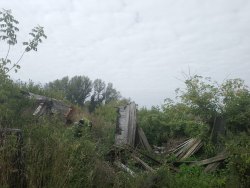 Недвижимое имущество:
1/4 общей долевой собственности на жилое здание, площадью 35,1 кв.м…