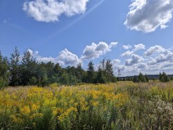 Земельный участок, площадь 10 000 +/- 175 кв. м; Земельный участок, площадь 63 018 +/- 439 кв. м…