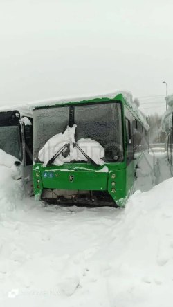 Автобус НЕФАЗ 5299-0000030-51, 2017 года 