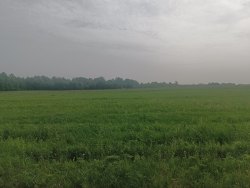 61/200 в праве общей долевой собственности на земельные участки (35 поз.) - 2 173 378 +/- 72 764…