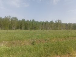 Земельный участок - 133 445 +/- 5 788 кв. м, адрес: местоположение установлено относительно…