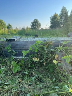 Объект незавершенного строительства,
площадь: 36кв.м., кадастровый номер:
43:31:310167:232 и…