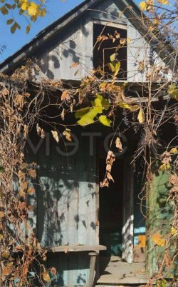 Здание 12,4 кв.м. и земельный участок 450 кв.м. в Пензенской обл. 