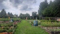 1/8 доли на земельный участок в Свердловской обл. 