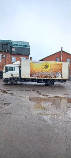 Автомобиль Man TGL 12/180, 2011 года 