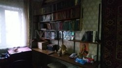 1/2 доля квартиры в Архангельской обл. 