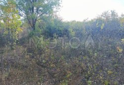 Земельный участок в Самарской обл., 400 кв.м. 