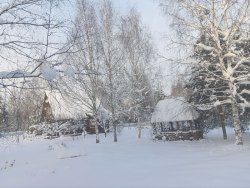 Земельный участок, кадастровый номер: 52:12:1000142:45, адрес: 606605, Нижегородская область, г…