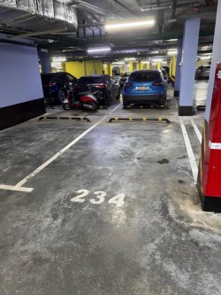 Помещение (машино-место №234), назначение: нежилое, площадью 14,9 кв. м, этаж: -1, кадастровый…