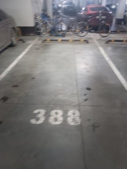 Помещение (машино-место №388), назначение: нежилое, площадью 14,7 кв. м, этаж: -1, кадастровый…