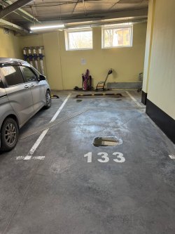 Помещение (машино-место №133), назначение: нежилое, площадью 14,8 кв. м, этаж: -1, кадастровый…