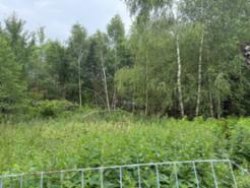 7 земельных участков по адресу Московская обл., р-н Истринский, с.пос Лучинское, ст. «Кедр», уч-к…