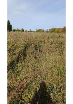 Земельный участок в Вологодской обл., 2446 кв.м. 