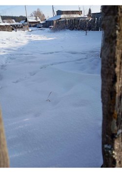 Земельный участок, кадастровый номер 38:06:070901:934, вид права, доля в праве: собственность…