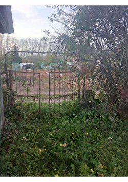 земельный участок