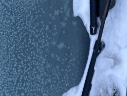 Лот 1, легковой автомобиль Skoda YETI, 2012 г.в.. VIN: XW8JF25L6DH702062