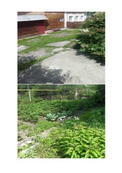 1/2 доля в праве на жилое помещение, кадастровый номер: 74:25:0303004:63, площадь: 79.3 кв. м., на…