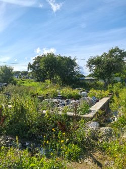 Земельный участок и жилой дом (фундамент),  Ленинградская область, Ломоносовский муниципальный…