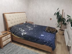 Квартира, назначение: жилое; общая площадь; 53 кв. м.; кадастровый номер: 59:01:4416013:1345…