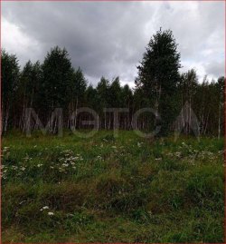 Земельный участок в Челябинской обл., 76318 кв.м. 