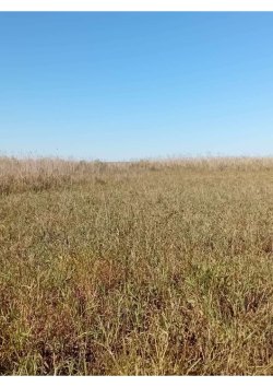 1/784 доля земельного участка в Астраханской обл. 