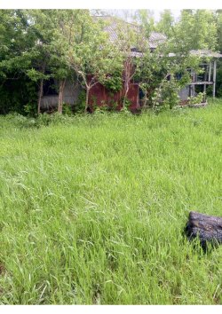 Дом 68,3 кв.м. и земельный участок 3217 кв.м. в Воронежской обл. 