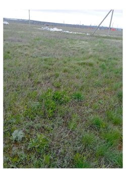 Земельный участок