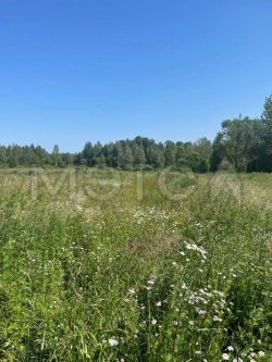 Земельный участок в Ленинградской обл., 622 кв.м. 