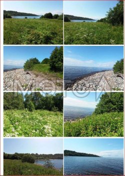 Земельный участок в Вологодской обл., 19000+/-381 кв.м. 