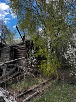 Жилой дом и земельный участок