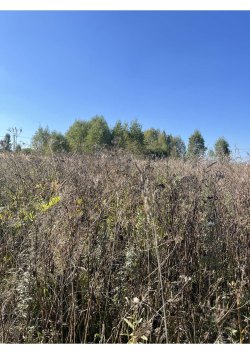 Земельный участок, площадь: 721кв.м., адрес (местонахождение): Калужская обл., р-н…